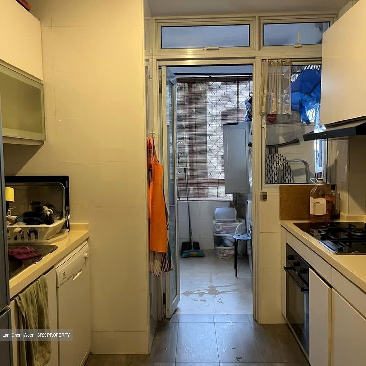 Tanglin Park (D10), Condominium #557817341